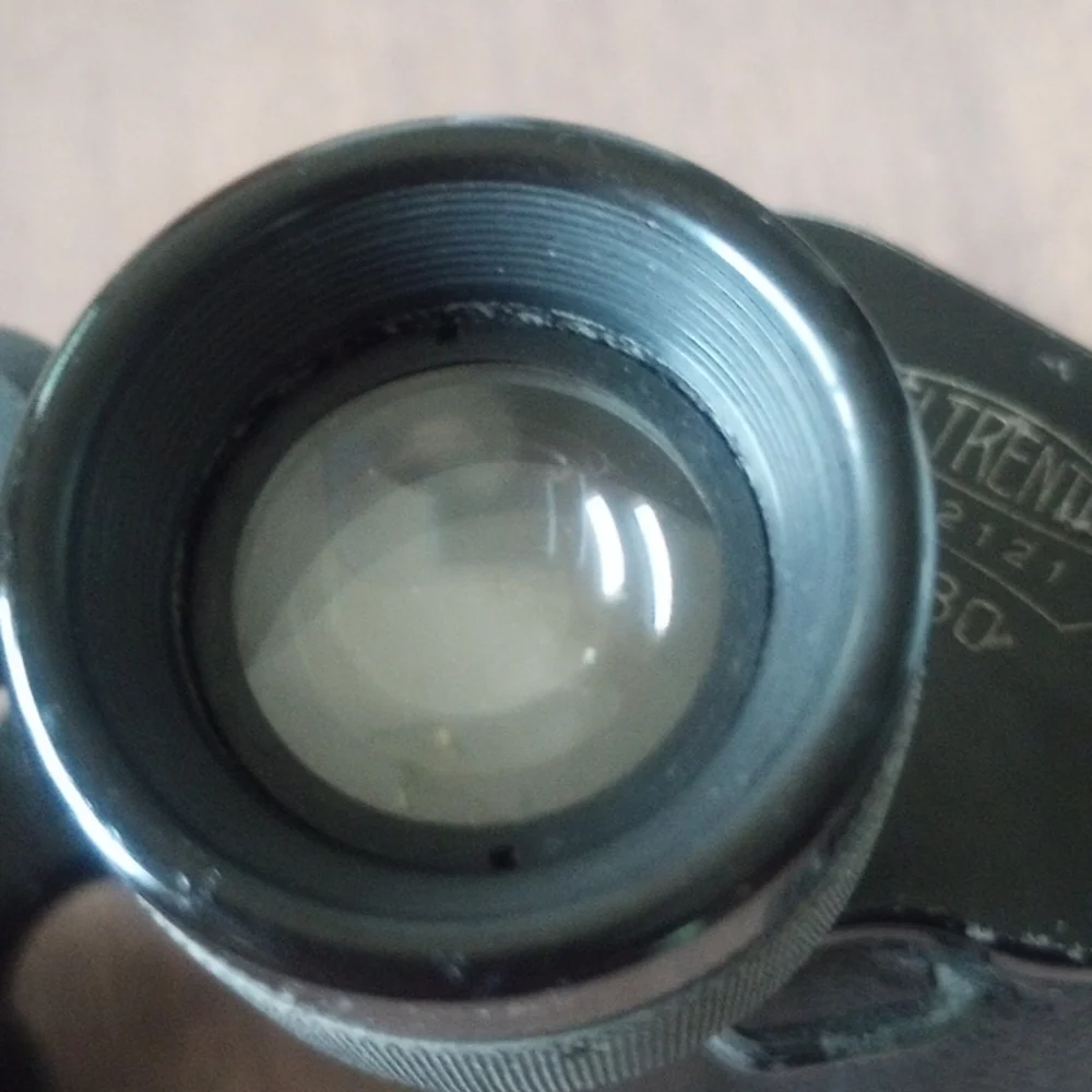 CARL ZEISS Jena DELTRENTIS 8x30 Binoculars (circa 1924)